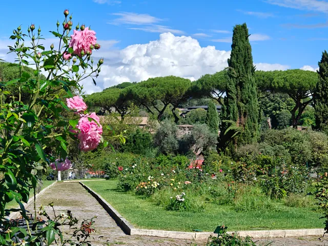 Roseto di Roma Capitale | Area Concorso