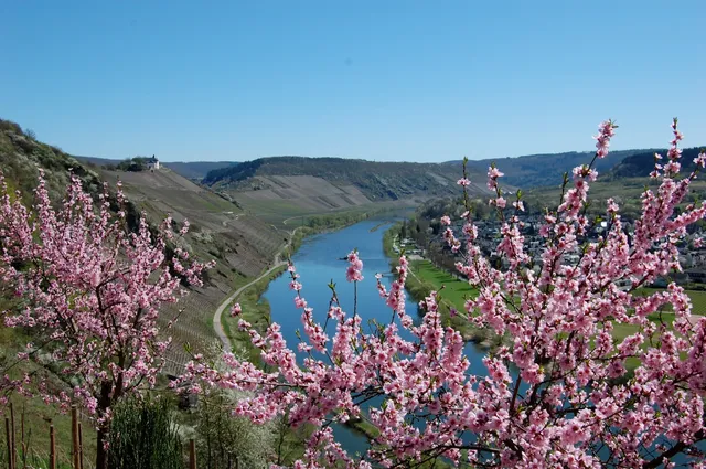 Weingut & Pension Benedikt Nilles