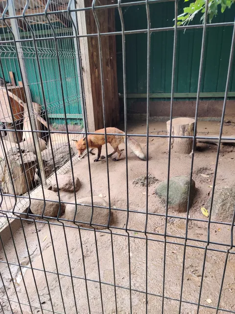 Пушкинские Горы