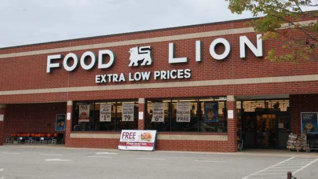 Food Lion