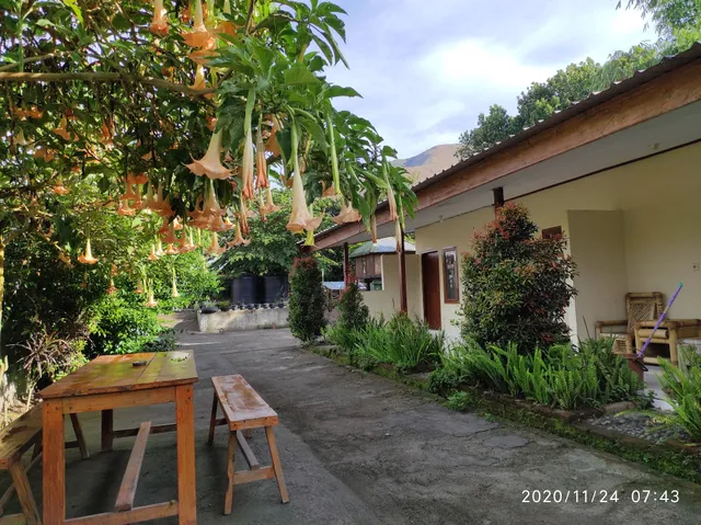 Sembalun Home Stay-Lombok