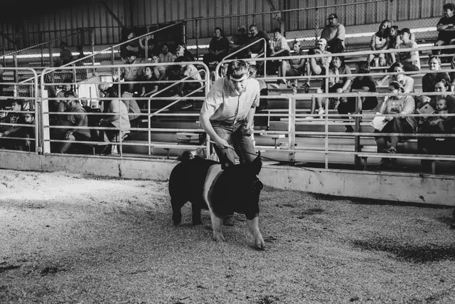 Des Moines County Fair