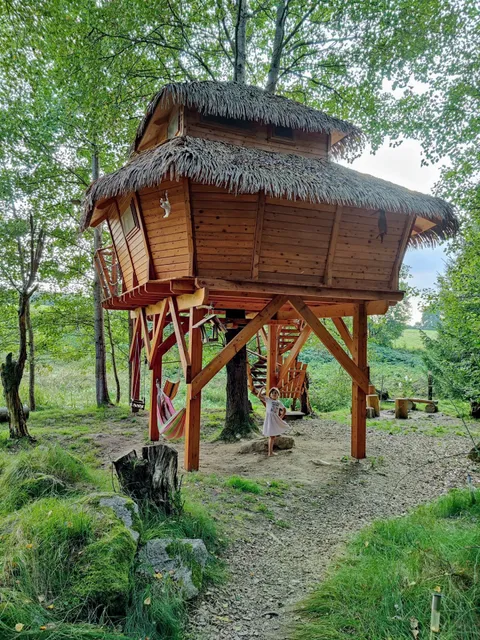 Treehouse Česká Kanada