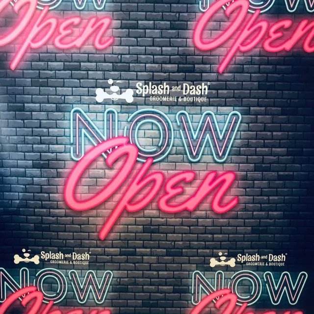 Splash and Dash Groomerie & Boutique