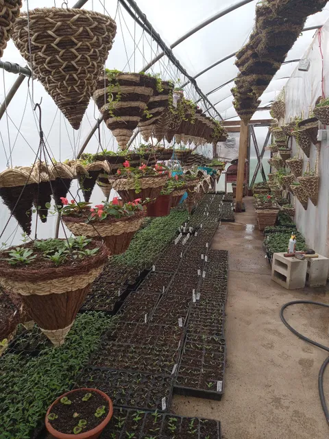 Pendleton's Farm Market