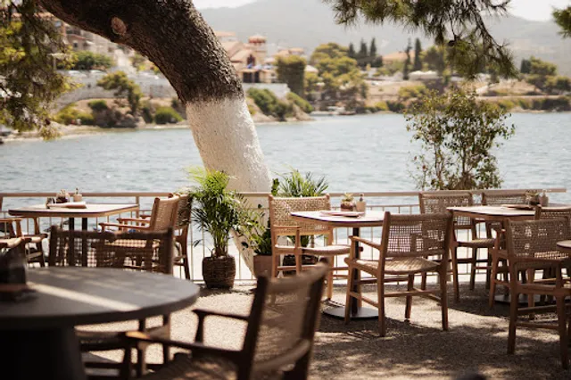 Jellyfish Pizzeria | Trattoria | Cocktaileria