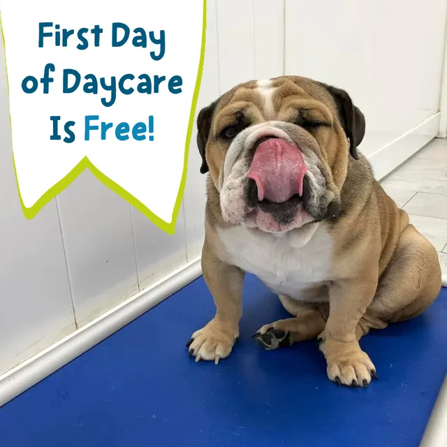 Hounds Town Denver West - Arvada