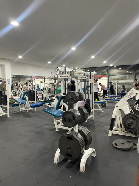 Maximus Gym