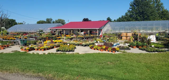 Old New Haven School Market