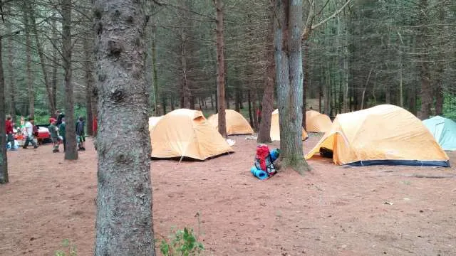 Webb Mountain Campsites 8-11