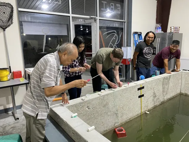 Ebi Ebi Shrimp Fishing