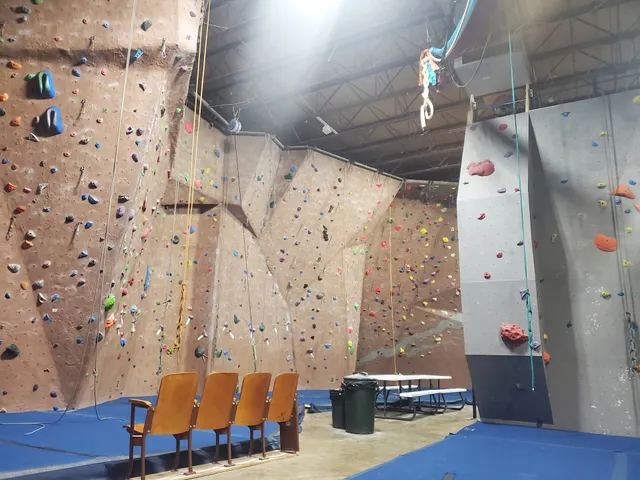 Wall Crawler Rock Club