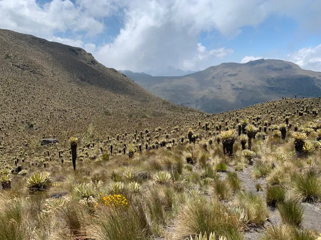 Paramo Trek
