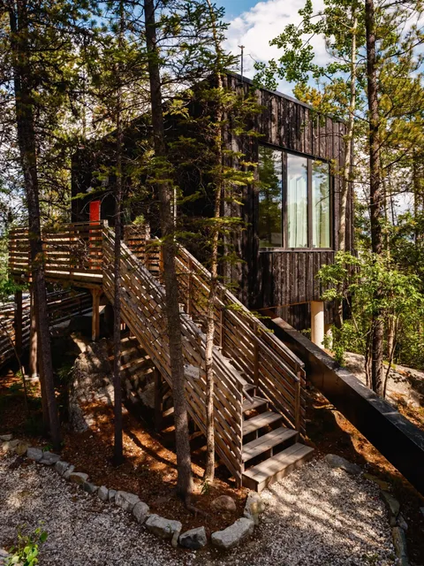 Black Spruce Landscape Hotel