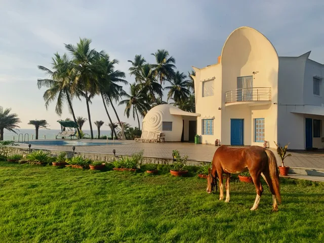 White Noise Beach House