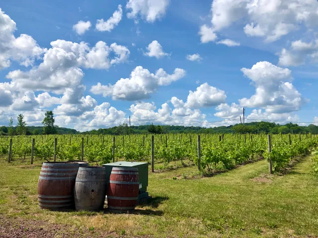 Hopewell Valley Vineyards