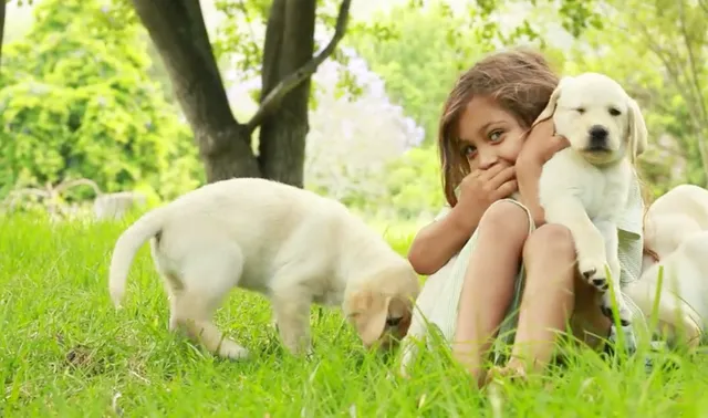 Tanner's Canine Resort