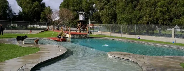 Country Kennels and Dawg Waterpark