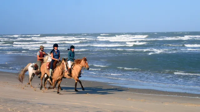 Cabalgatas Valiceras