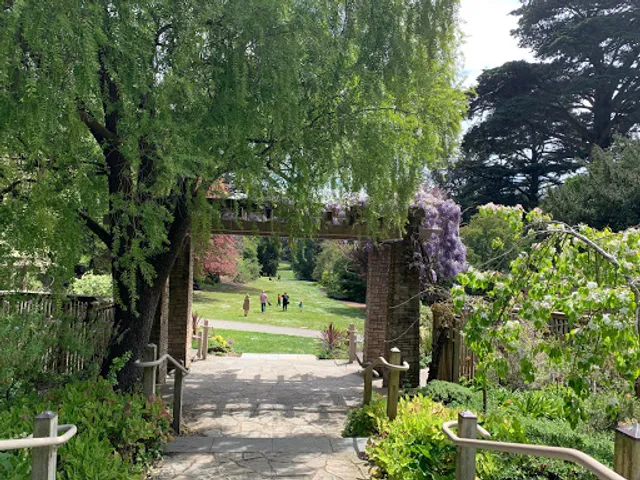 Redwood Grove Garden