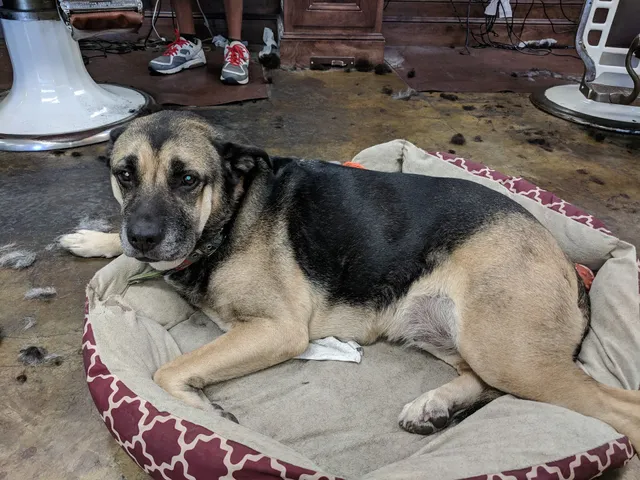 3 Brothers Barber Shop