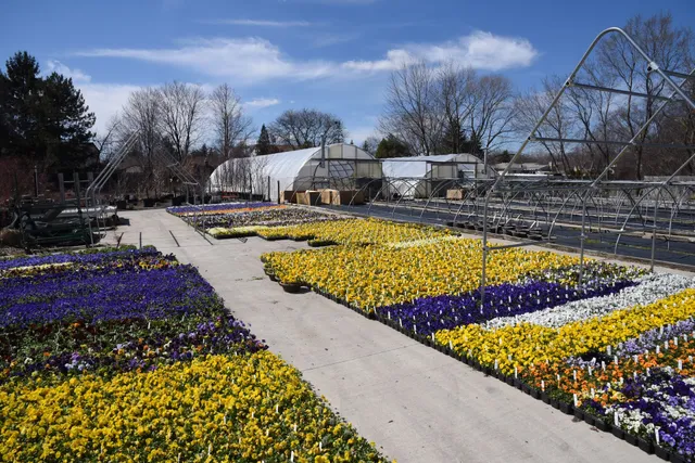 Telly's Greenhouse and Garden Center
