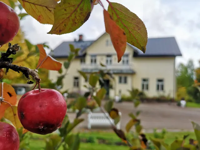 Disponentparken Grängesberg