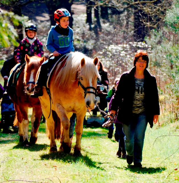Ferienpension Lindenhof