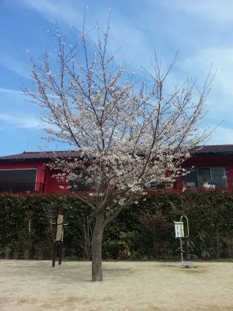 Nakano Kuritsu Sakurayama Park