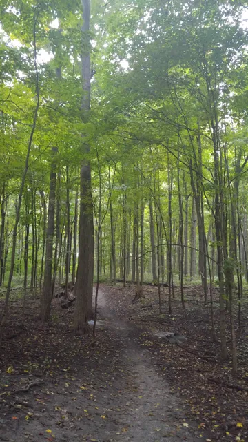 Thornhill Woods Park