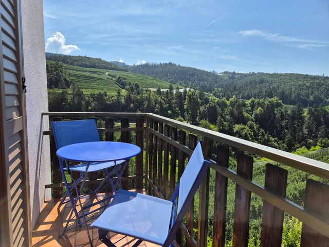 Tra i meleti della Val di Non