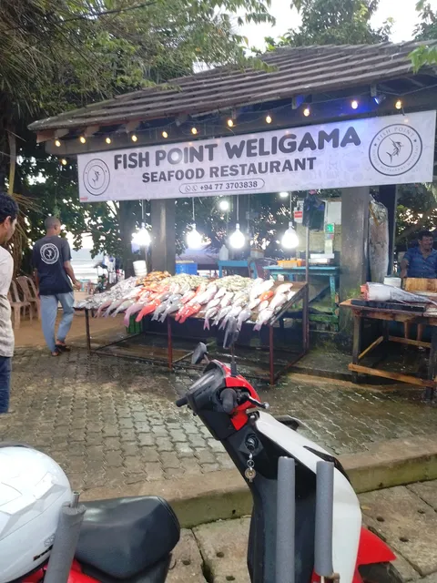 Real Fish Point Weligama