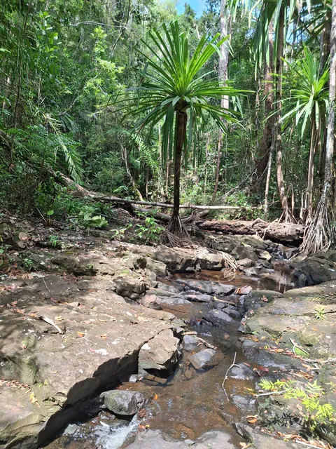 Réserve spéciale de Manombo