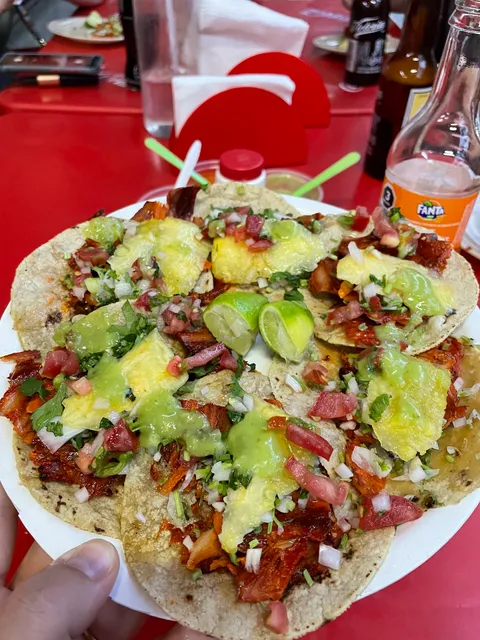 TAQUERÍA EL JARRO CAFÉ