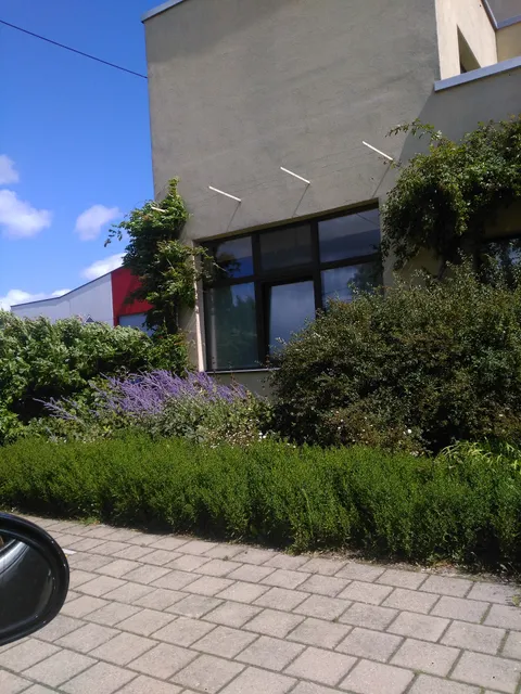 Eenvoud in Overvloed