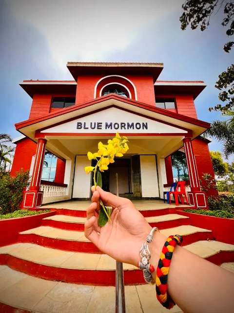 Blue Mormon Jungle Holiday Resort