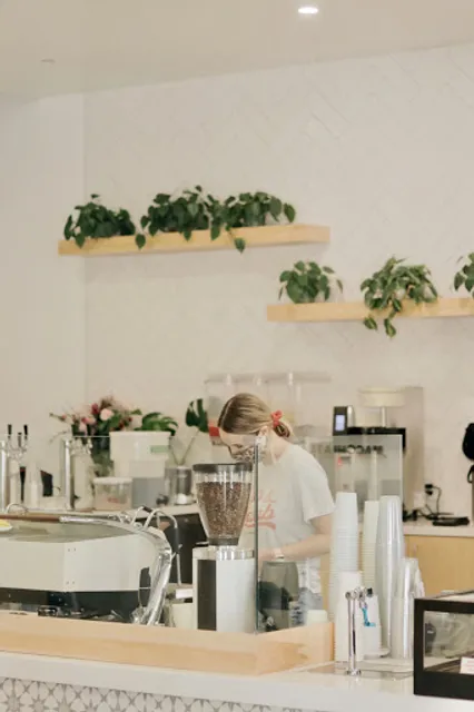 Lion & Lamb Coffee Roasters