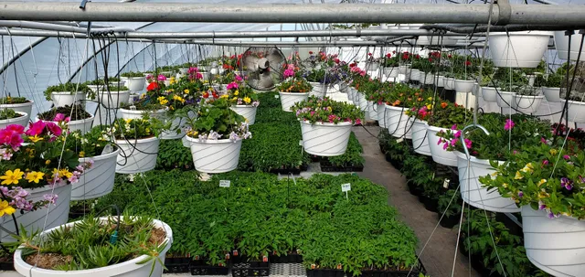 Zimmerman's Produce LLC