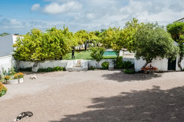 18.21 Houses - Casa dos Condes