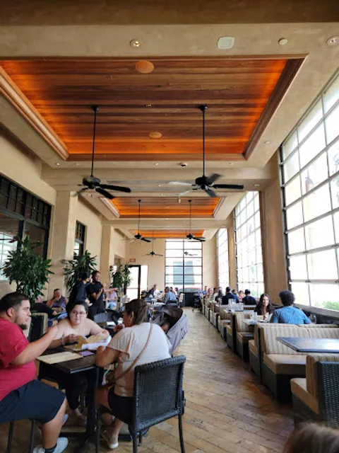 The Cheesecake Factory