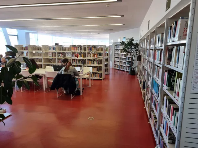 Municipal Public Library Ana Maria Matute