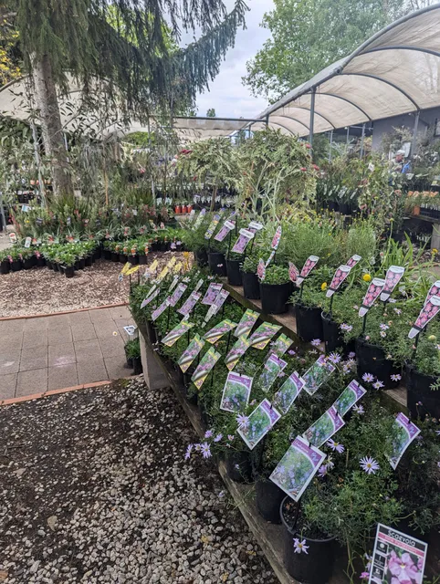 Cool Country Natives