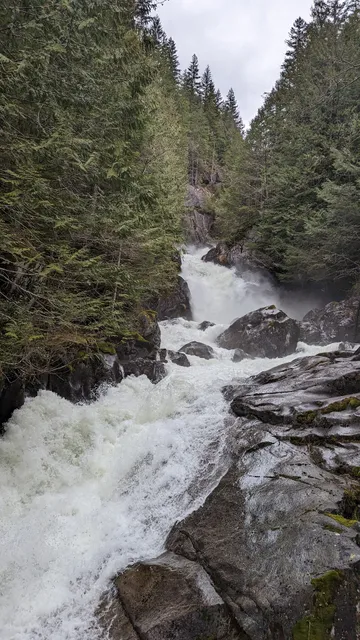 Northwest Wilderness Programs