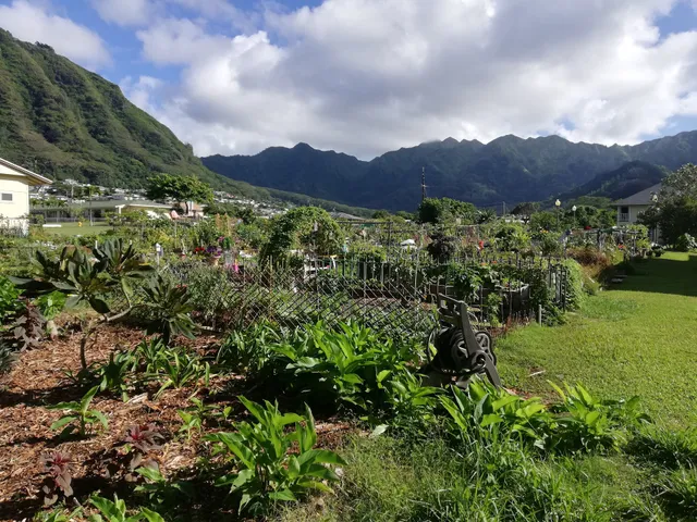 Mānoa Community Garden