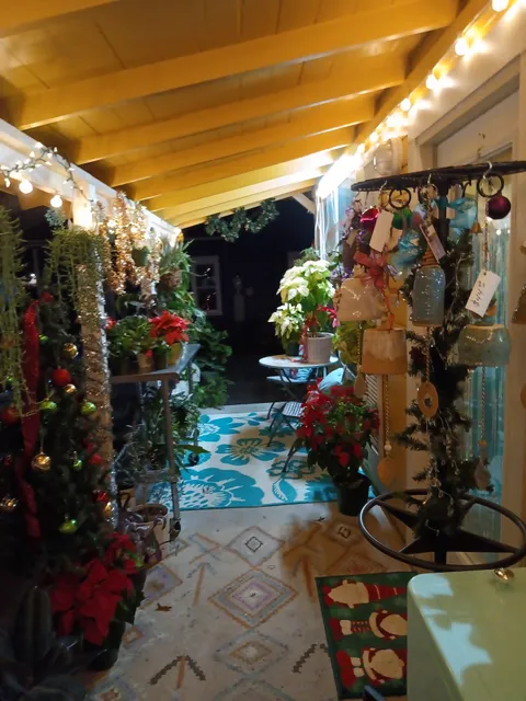 Teal Sky Studio Boutique