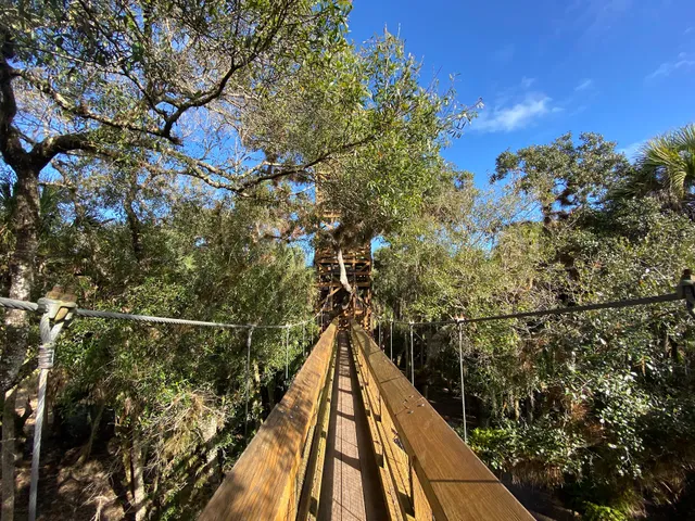 Myakka Canopy Walkway and Observation Tower