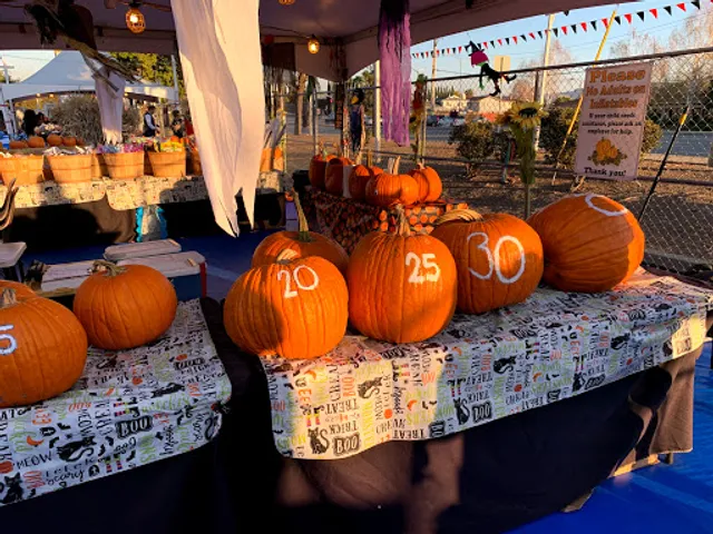 ABC Tree Farms & Pick of the Patch Pumpkins