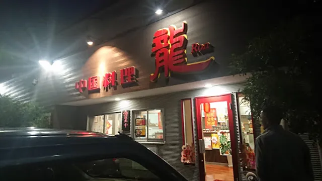 中国料理 龍