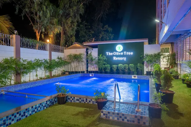 The Olive Tree Resort