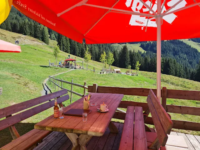 Ederalm Saalbach